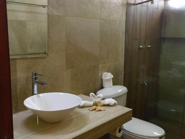 Hotel Playa La Media Luna : photo 4 de la chambre vue sur jardin de palmiers