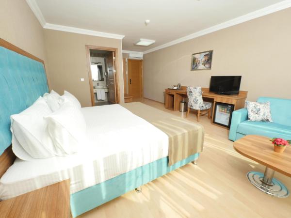 Golden Lounge Hotel : photo 10 de la chambre chambre double deluxe