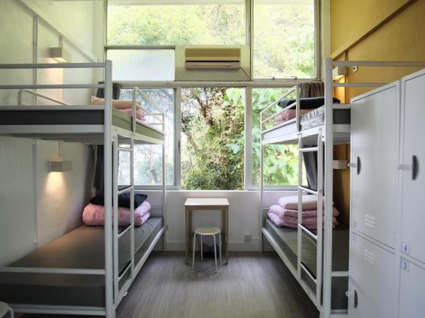 YHA Jockey Club Mt. Davis Youth Hostel : photo 4 de la chambre lit dans dortoir masculin de 4 lits