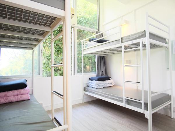 YHA Jockey Club Mt. Davis Youth Hostel : photo 3 de la chambre lit dans dortoir masculin de 4 lits