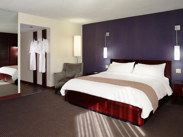 Hotel Ruby Foo's : photo 4 de la chambre chambre lit king-size deluxe