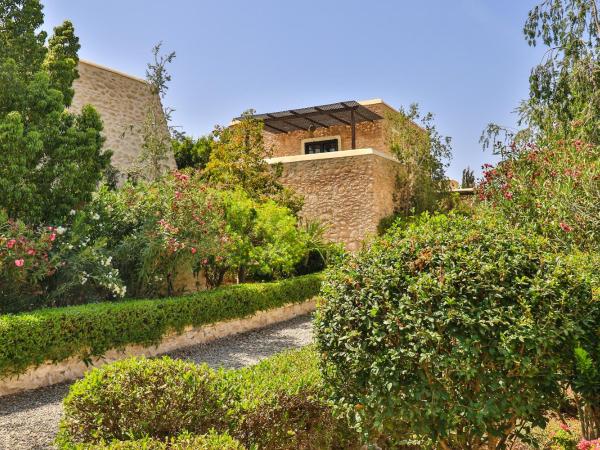 Essaouira Lodge : photo 2 de la chambre suite junior avec terrasse