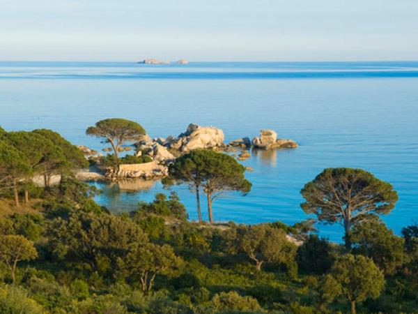 Chambres d'Hôtes Littariccia : photo 1 de la chambre chambre double - vue sur mer