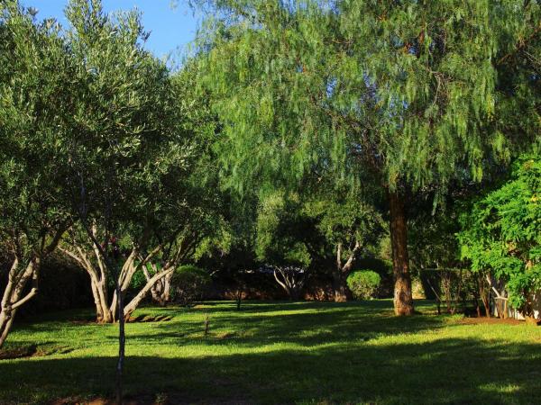 Essaouira Lodge : photo 9 de la chambre villa avec piscine privée