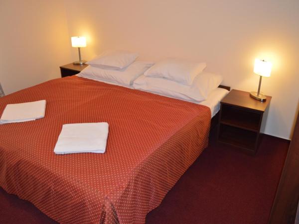 HOTEL ARÉNA : photo 9 de la chambre chambre double avec salle de bains privative