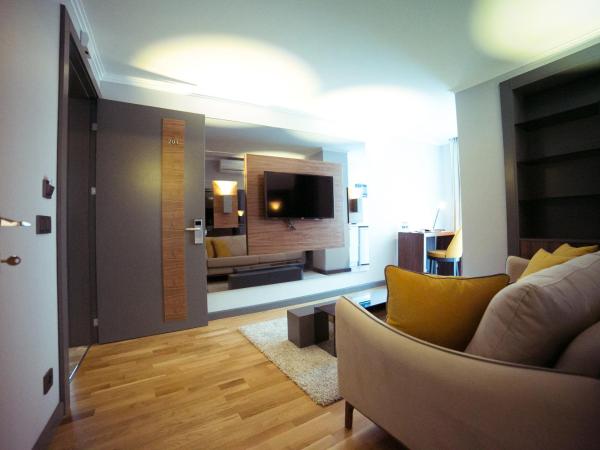 Ankacity Suit Flat : photo 8 de la chambre suite moderne