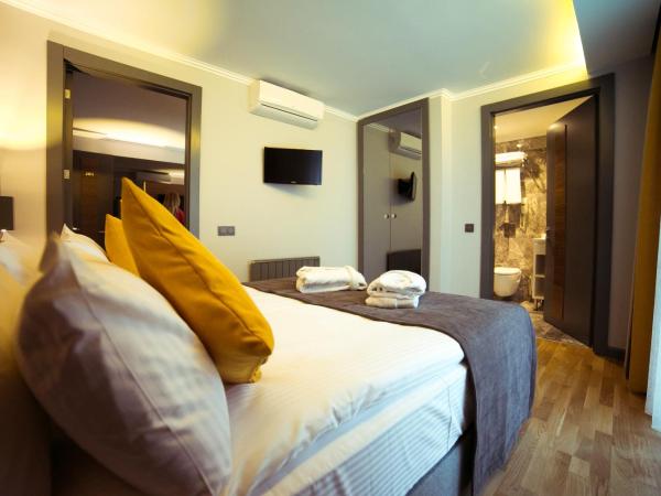 Ankacity Suit Flat : photo 3 de la chambre suite moderne