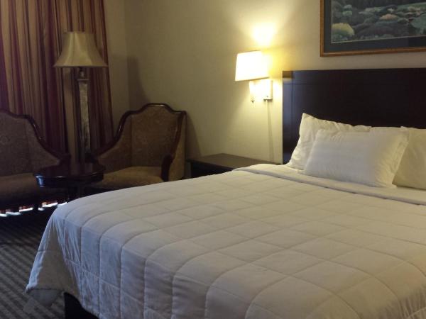 Romana Hotel - Houston Southwest : photo 6 de la chambre chambre lit king-size