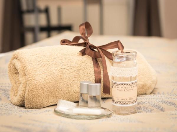 Budapest Ville Bed & Breakfast : photo 2 de la chambre chambre triple avec douche