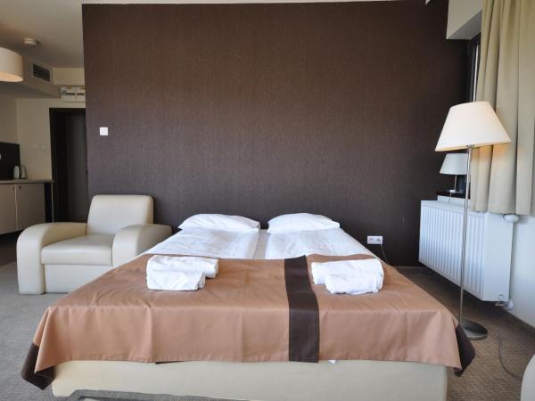 Szklane Domy : photo 1 de la chambre appartement studio jardin
