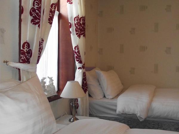 Fortuna House Hotel : photo 1 de la chambre chambre lits jumeaux