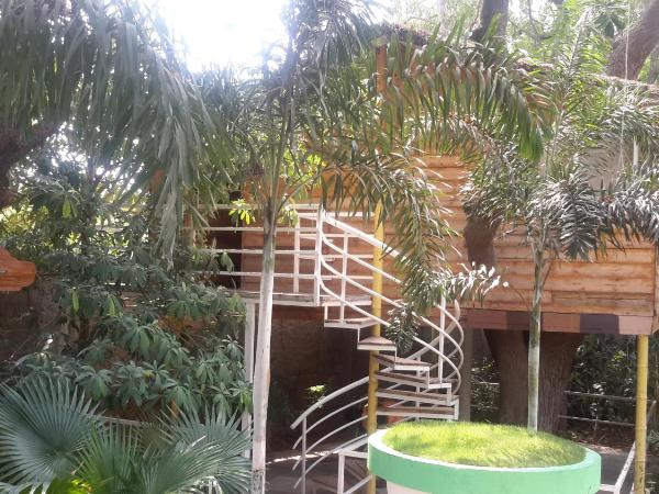 Mrugavani Resort & Spa : photo 4 de la chambre cabane dans les arbres