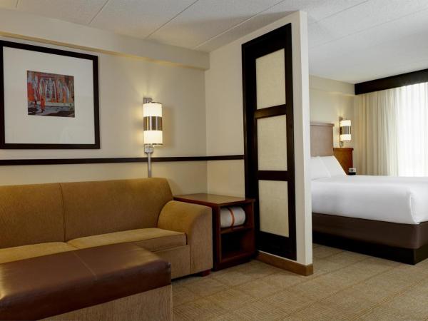Hyatt Place Nashville Airport : photo 3 de la chambre chambre lit king-size avec canapé-lit - Étage supérieur