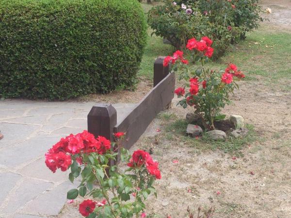 Posada del Angel : photo 6 de la chambre bungalow (4 adultes)