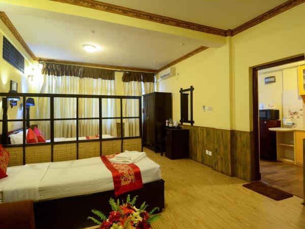 Dream Nepal Hotel and Apartment : photo 9 de la chambre studio avec cuisine et terrasse