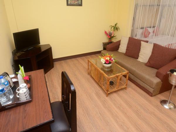 Dream Nepal Hotel and Apartment : photo 6 de la chambre suite deluxe avec cuisine et terrasse