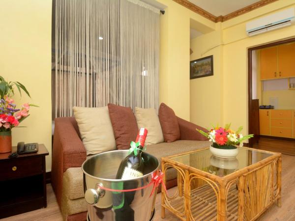 Dream Nepal Hotel and Apartment : photo 8 de la chambre suite deluxe avec cuisine et terrasse