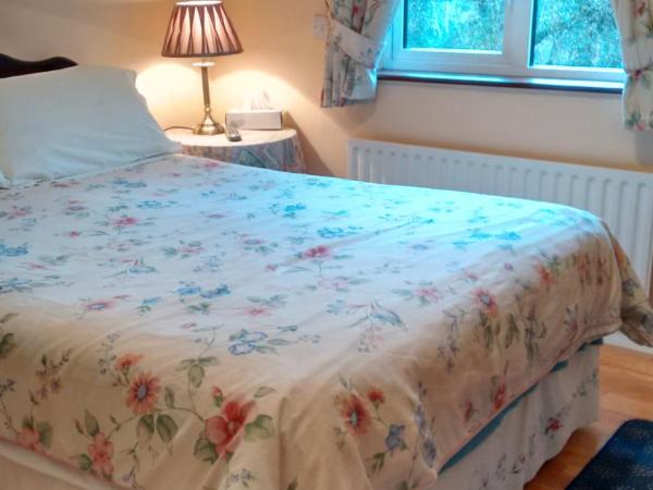 Corrib View Guesthouse h91rr72 : photo 5 de la chambre chambre double avec salle de bains privative