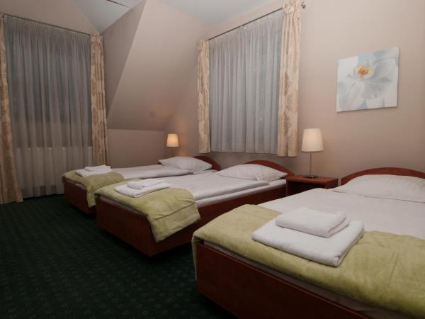 Willa Pory Roku : photo 4 de la chambre chambre triple confort avec douche