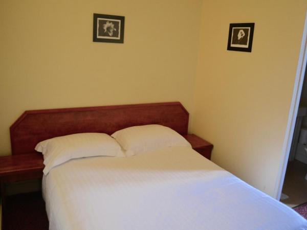 Grand Hotel De La Gare : photo 1 de la chambre chambre double standard