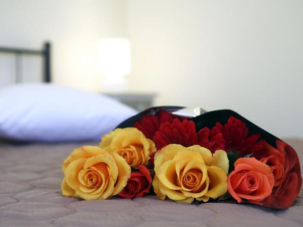 Niriides : photo 10 de la chambre appartement 1 chambre