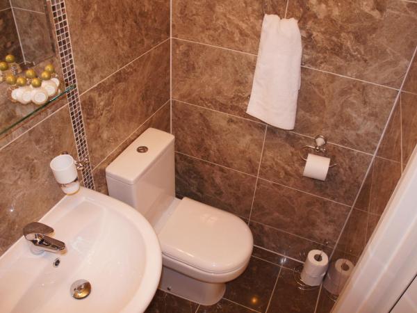 Sapphire Hotel London : photo 3 de la chambre chambre double - salle de bains privative