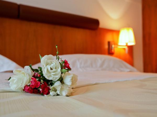 Hotel Croatia : photo 2 de la chambre chambre lits jumeaux
