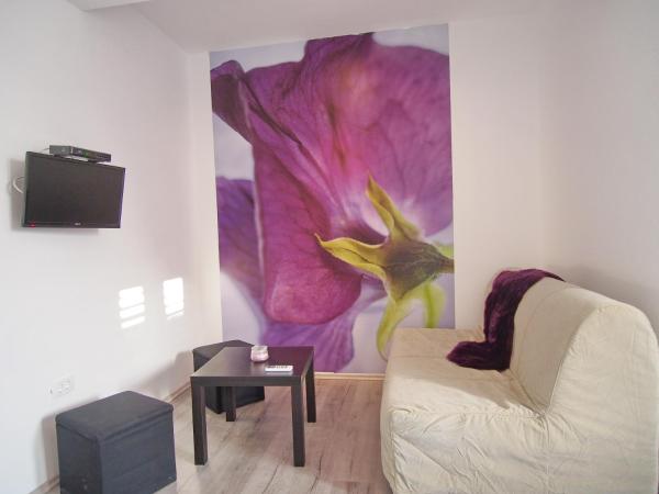 Dubrovnik Icy Guest House : photo 3 de la chambre chambre lit king-size - vue sur jardin