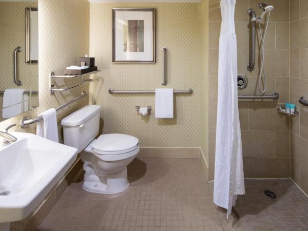 Hyatt Regency Houston Intercontinental Airport : photo 5 de la chambre chambre lit king-size avec baignoire accessible aux personnes à mobilité réduite