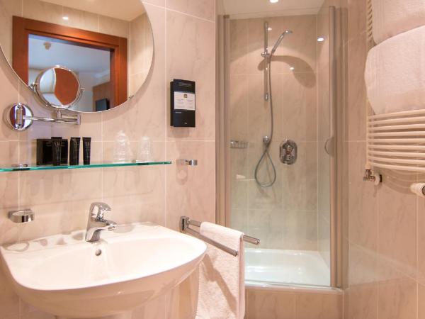 Best Western Plus Grand Hotel Victor Hugo : photo 6 de la chambre chambre double classique - bâtiment annexe 