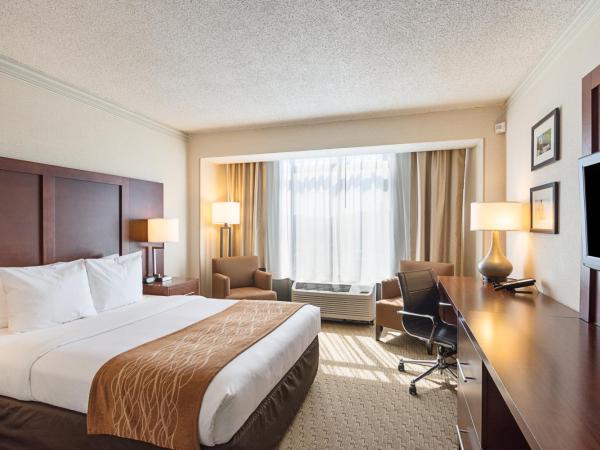 Comfort Inn By the Bay : photo 10 de la chambre chambre lit queen-size standard - non-fumeurs 