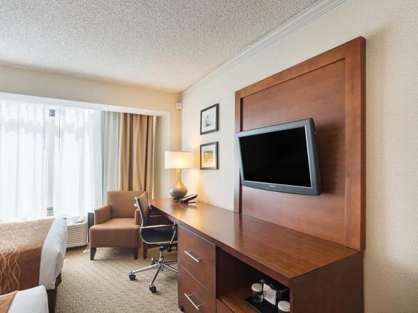 Comfort Inn By the Bay : photo 8 de la chambre chambre lits jumeaux standard - non-fumeurs