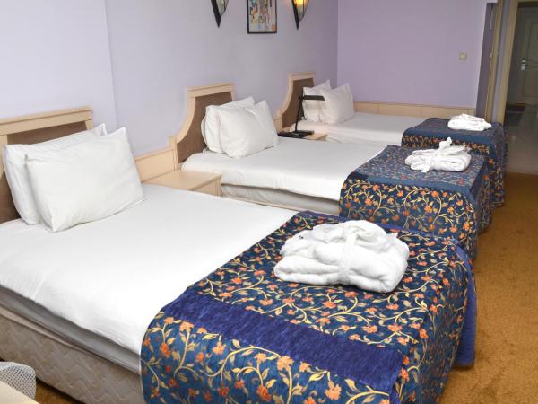 Berr Hotel : photo 6 de la chambre chambre triple