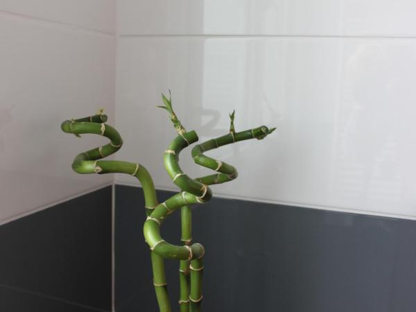 Au Coeur De Beauvais : photo 7 de la chambre chambre double deluxe avec douche