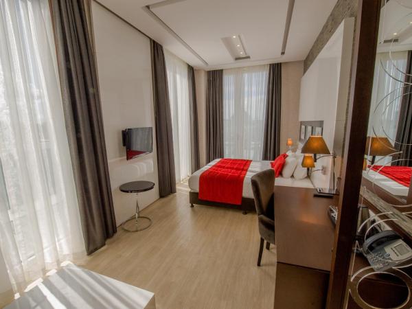 Grand Hotel Downtown : photo 8 de la chambre suite spacieuse de grand standing avec terrasse - vue sur ville