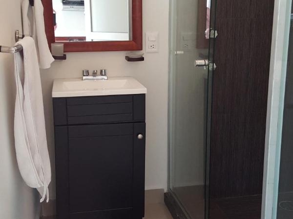 Grupo Kings Suites - Bosques de Duraznos 78 : photo 9 de la chambre appartement (1 adulte)