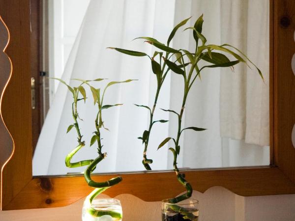 Matina Hotel : photo 4 de la chambre chambre triple