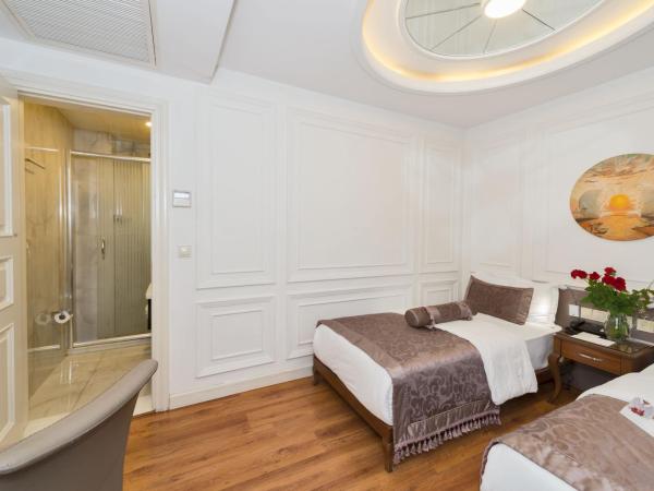 Darkmen Hotel 2 : photo 4 de la chambre chambre lits jumeaux standard