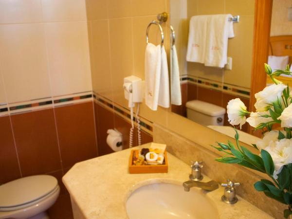 Hotel Puerta Del Sol Guadalajara : photo 4 de la chambre grande chambre double 