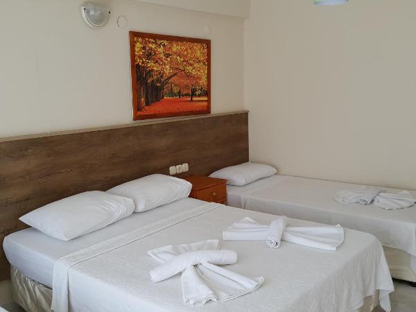 Ozgun Apart Hotel : photo 5 de la chambre appartement avec balcon