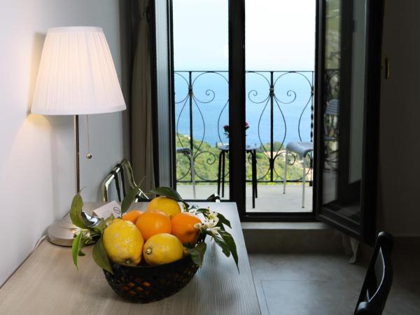 Villa Astoria : photo 4 de la chambre chambre double ou lits jumeaux supérieure avec balcon - vue sur mer