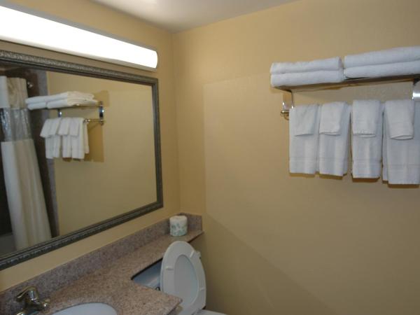 Ambassadors Inn & Suites : photo 2 de la chambre chambre lit queen-size