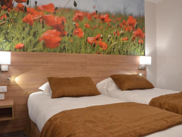 Logis hôtel - La Chambre D'Amiens : photo 6 de la chambre chambre double ou lits jumeaux avec balcon