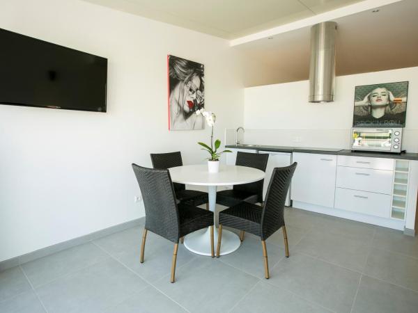 Le Grand Large Bord de Mer Hotel & Appartements : photo 1 de la chambre loft avec terrasse - bord de mer