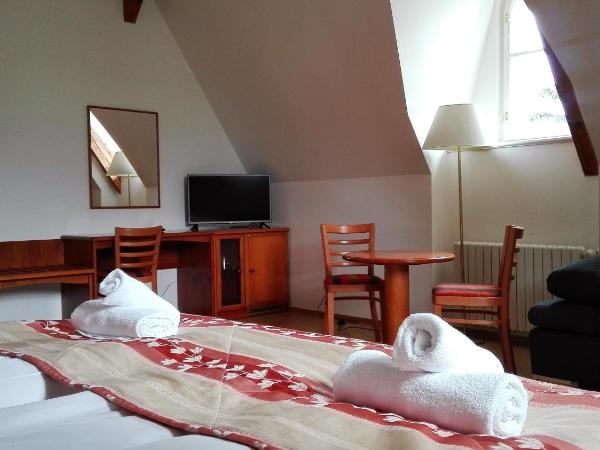 Pension Jana - Domov Mládeže : photo 5 de la chambre chambre double confort