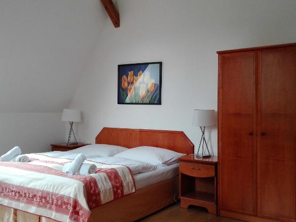 Pension Jana - Domov Mládeže : photo 4 de la chambre chambre double confort