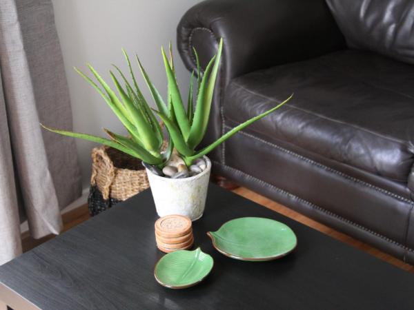 Paperbark Bed & Breakfast : photo 8 de la chambre chambre lit queen-size deluxe