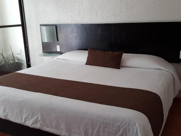 Grupo Kings Suites -Platon 436 : photo 10 de la chambre studio