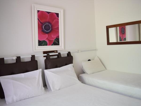 Hotel Pousada Encanto de Itapoan : photo 1 de la chambre chambre lits jumeaux