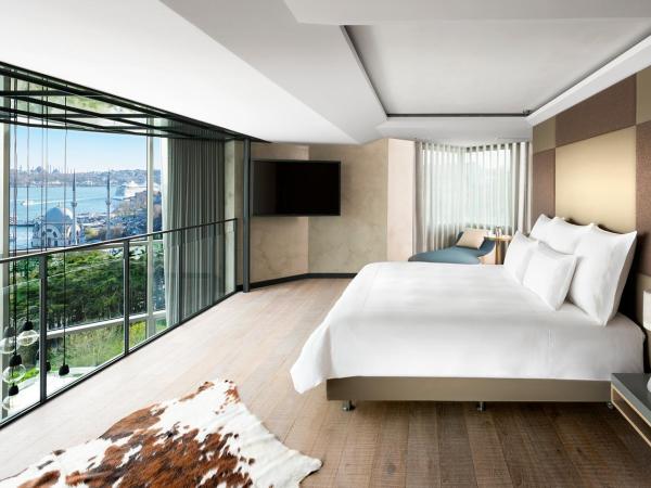 Swissotel The Bosphorus Istanbul : photo 3 de la chambre loft 2 chambres signature avec terrasse